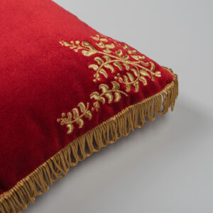 Alternative view of The Ariston Passion by AristoTechnima