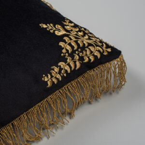 Alternative view of The Ariston Power by AristoTechnima