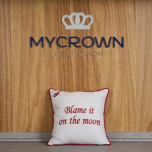 Blame It On The Moon